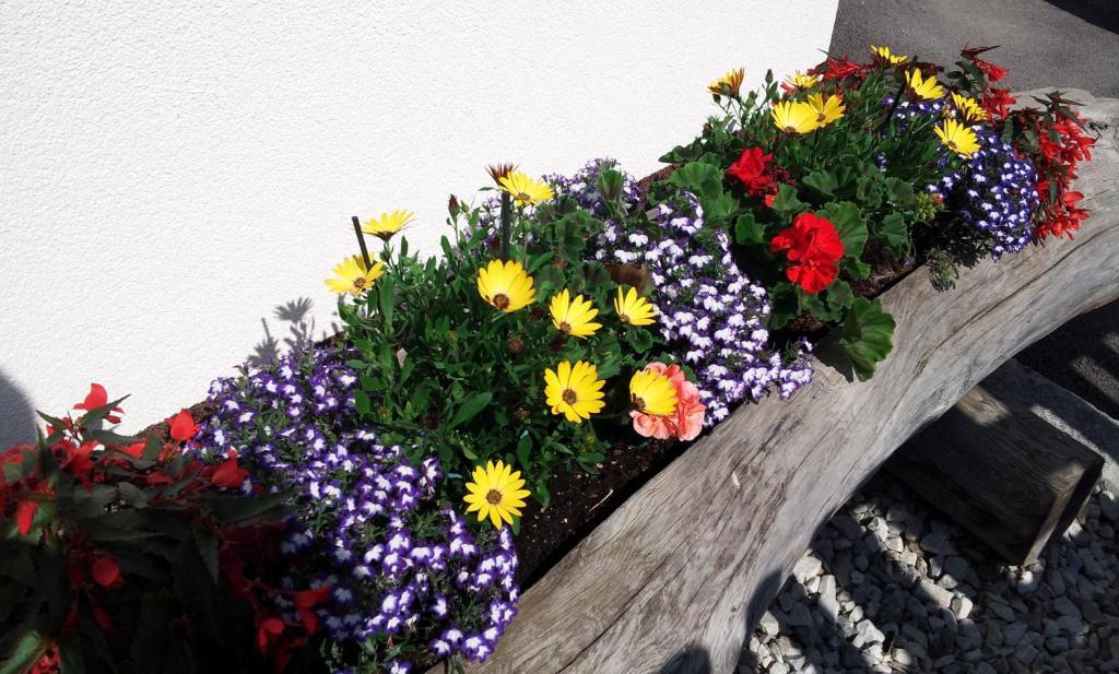 Haus Rosmarie Lägenhet Neustift im Stubaital Rum bild